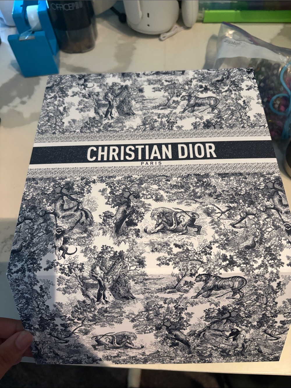 Dior Black and White Toile Decorative Wall Art
